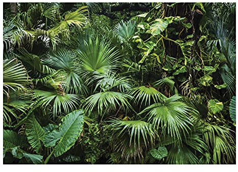 WallArena - Vlies Fototapete Wald Tropical Dschungel Grün Natur Pflanzen Blätter 208x146 cm - Fototapeten - Tapeten für Wohnzimmer Schlafzimmer Vliestapete Wandtapete Tapete 3D Effekt- inkl. Kleister