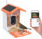 Solar Powered Smart Bird Feeder Camera with 2.5K HD Video, Wireless Wi-Fi Bird Box Camera, Voice Monitoring, Auto Bird Detection Alerts for UK Gardens