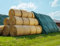 AGRI plus Strohvlies 9,8 x 12,5 m I Stabiles 140 g/m² Schutzvlies aus Polypropylen I Extrem reißfestes Heuvlies für langfristigen Schutz I Abdeckvlies wetterfest & UV-beständig