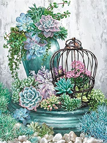 OWN4B Kreuzstich Stickpackungen Vorgedruckt, Sukkulenten Pflanzen und Käfig Bilder 11CT 14,2x18,1 Zoll DIY Stickpackung Set