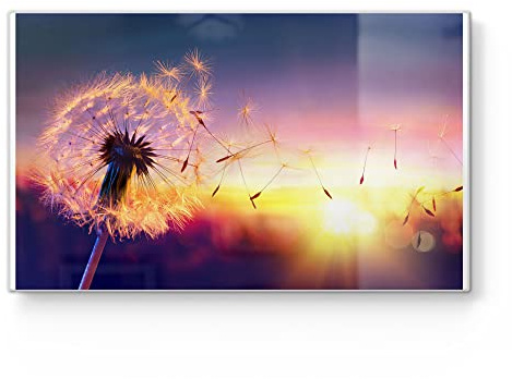 DEQORI Frühstücksbrett Glas | klein 23x14 cm | Motiv Pusteblume im Abendlicht | Design Schneidebrett für Küche | Frühstücksbrettchen antibakteriell & rutschfest | Glasplatte & Servierplatte