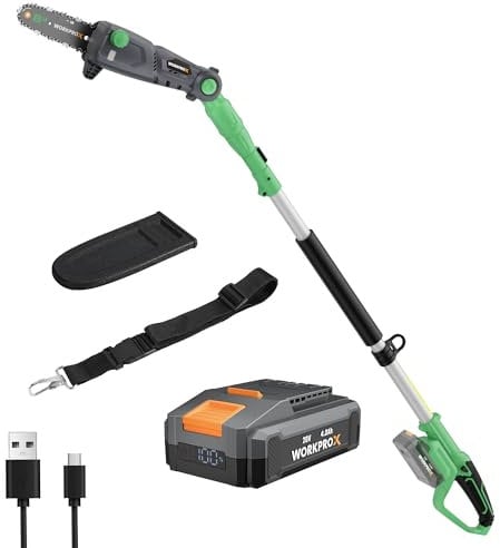 WORKPROX Cordless Pole Saw with 45° Adjustable Head, 20V 20cm Pole Chainsaw with 4000mAh Battery, Lightweight 2.8m Long Reach Electric Pole Saw for Tree Trimming