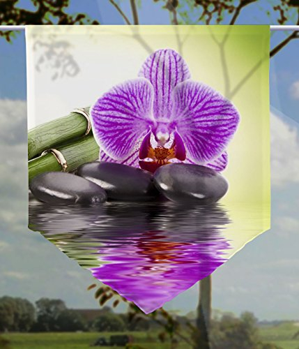 gardinen-for-life Scheibenhänger Orchidee Green Transparent, Edler Scheibenhänger aus Feiner Voile in Verschiedenen Größen (HxB 75x60cm)