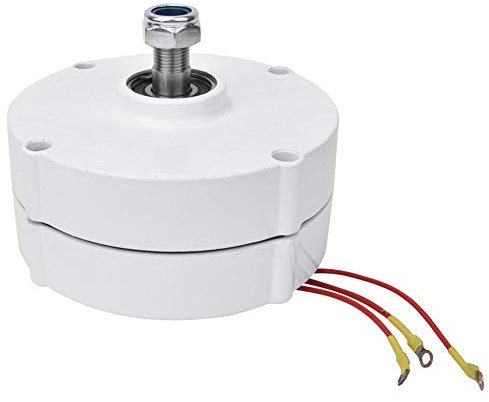Yanmis Generatore Eolico 12V 100W, alternatore sincrono a turbina eolica trifase NE-100 con Motore a magneti permanenti(Generatore)