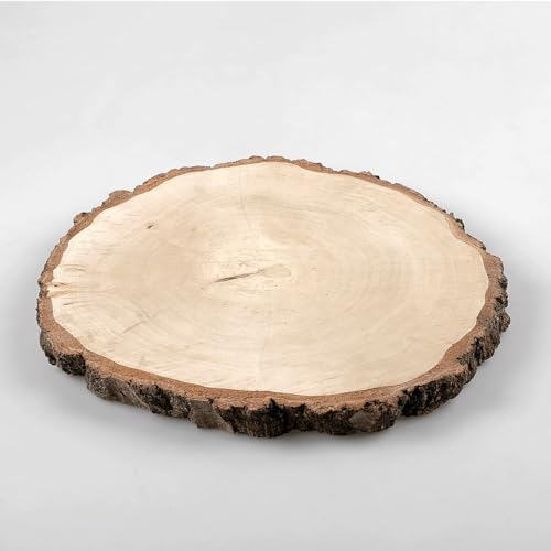 Holz-Birkenscheibe Dekoholz unbehandelt Naturdeko Baumscheibe Birke ca. 30 cm Ø