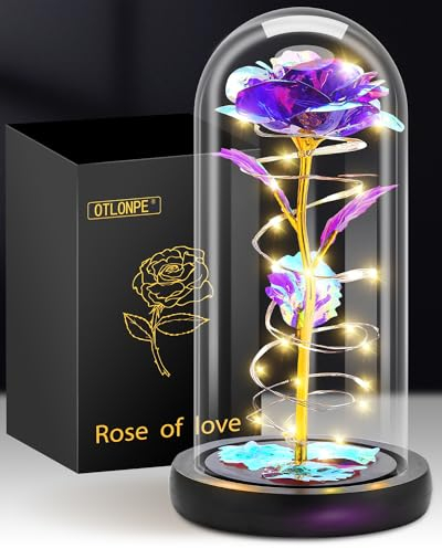 Otlonpe Blumen Muttertagsgeschenk für Mama Geschenke für Frauen, Geburtstagsgeschenk für Frauen Mama Freundin Oma, Ewige Rose im Glas Frau Geschenke für Muttertag Valentinstag Jahrestag
