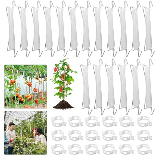 WAYBWZDQ 18 Stück Tomatenhaken mit Schnur, Tomatenhaken Metall Tomatenstützhaken Gemüsehaken Tomatenhaken Garten mit 18 Pflanzenschnalle und 3m Seil, für Hängende Tomaten und Gurken