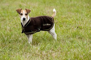 EQUI-THÈME Polar Hundedecke Rückenlänge 26cm Schwarz Einfassung goldfarbig