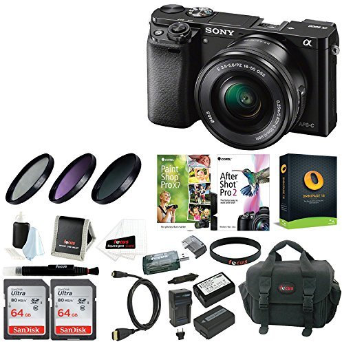 Sony Alpha a6100 APS-C Mirrorless Interchangeable-Lens Camera (Black)