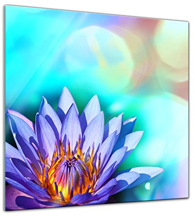Glasbild - Lotusblüte II - 50x50 cm - Deko Glas - Wandbild aus Glas - Bild auf Glas - Moderne Glasbilder - Glasfoto - Echtglas - kein Acryl - Handmade