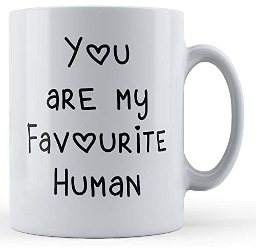 Funny Mug Partner, Girlfriend, Boyfriend, Husband, Wife, Valentines You are My Favourite Human - Gift Mug, Ceramic, 11fl.oz.