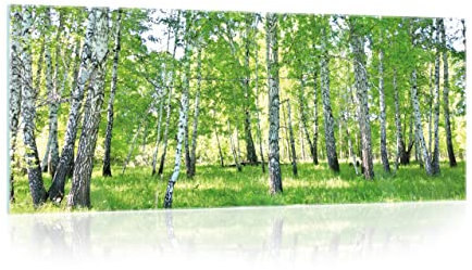 Glasbild Wald Birken Natur Landschaft 125x50 cm Modern Glasbilder Wohnzimmer Schlafzimmer Badezimmer Bilder auf Glas Bild groß XXL einteilig Querformat Wandbild Wandbilder Aufhängfertig