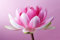 Holz-Bild 50 x 30 cm: Seerose, Lotus auf rosa Hintergrund(43411748)