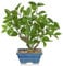 39CM Kunstpflanze Wie Echt Künstliche Ficus Pflanzen in Blauem Topf Dekopflanze für Fensterbank Wohnzimmer Badezimmer Dekoration