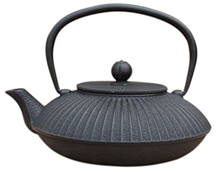 Tetera japonesa Tetsubin de hierro fundido