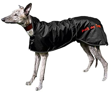 Brustgeschirr Hundemantel Greyhound S von Back on Track schwarz M