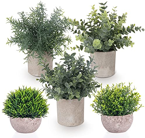ilauke 5 Stücke Künstliche Pflanzen, Kleine Kunstpflanze Echt Eukalyptus Rosmarin Babysbreath Kleine mit Töpfen Tischdeko Haus Balkon Büro Deko