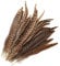 MWOOT 20 stück Fasan Federn, 25-30cm/ 10-12 Zoll Länge Fasan Schwanzfedern, Hutfeder, Natural Craft Feather