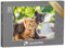 puzzleYOU: Puzzle 200 Teile „Zwei Bezaubernde Kätzchen Spielen“ – aus der Puzzle-Kollektion Katzen-Puzzles