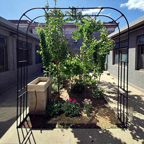 Refue Rosenbogen Rankgitter extra breit 120-320cm Garten Torbogen aus Metall Rankhilfe Rosengestell Rankbogen stabil witterungsbeständig 40 cm Tiefe (Größe : B320 x H240cm)