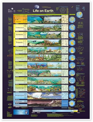 Life on Earth (englisch) Poster von Planet Poster Editions 13 x 18 cm Wandbilder Wanddeko