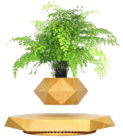 INOVAXION Schwebender Blumentopf, magnetisch, schwimmender Blumentopf für kleine Pflanzen, um 360° drehbar, schwebender Schreibtisch, Dekoration für Zuhause und Büro, schwimmender Topf, Geschenk für