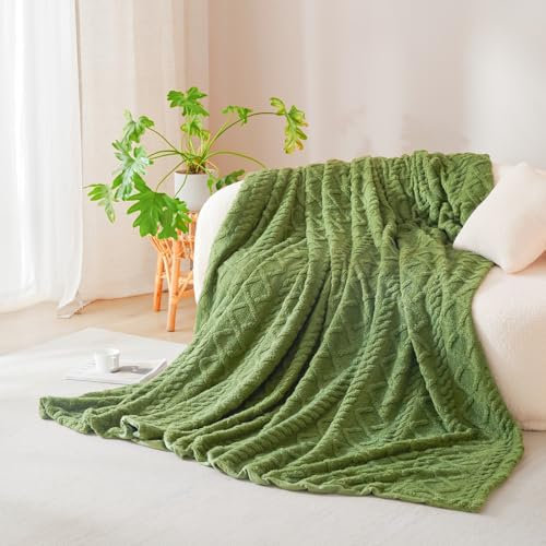 Nayoroom Kuscheldecke Winter Flauschig Cashmere Touch Fleecedecke 150x200 Grün Warm Flanell Decke Kuschelig Wolle Aesthetic Wohndecke Dunkelgrün Wolldecken Weiche Sofadecken für Couch überwurf Set