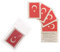 10 x Türkei Fan Tattoo Fahnen - EM 2024 - Turkey Flag Tattoo (10)