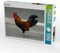 CALVENDO Puzzle Bunter Hahn 1000 Teile Puzzle quer | 1000 Teile Lege-Größe 64 x 48 cm Foto-Puzzle für glückliche Stunden