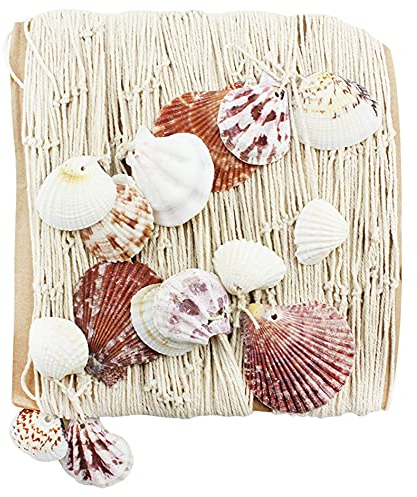 com-four® Fischernetz mit Muscheln 150 x 150 cm - zur Dekoration - Foto-Netz zum Aufhängen - Maritime Wanddekoration - Meeresdeko (001 Stück - Netz)