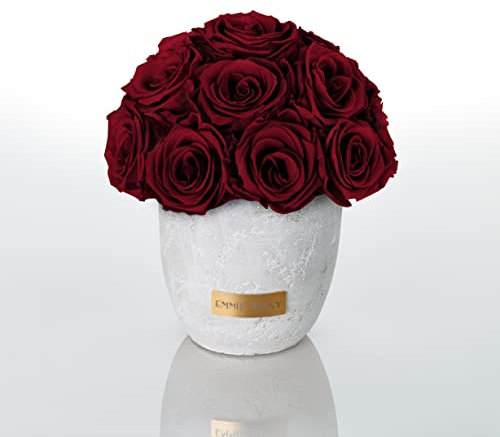 EG EMMIE GRAY Solid Infinity Collection - Traumhafte Infinity Rosen, 1-3 Jahre haltbare Rosen, Betonvase mit echten, konservierten Rosen, edle Premiumrosen - Größe S (Burgundy)