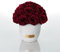 EG EMMIE GRAY Solid Infinity Collection - Traumhafte Infinity Rosen, 1-3 Jahre haltbare Rosen, Betonvase mit echten, konservierten Rosen, edle Premiumrosen - Größe S (Burgundy)
