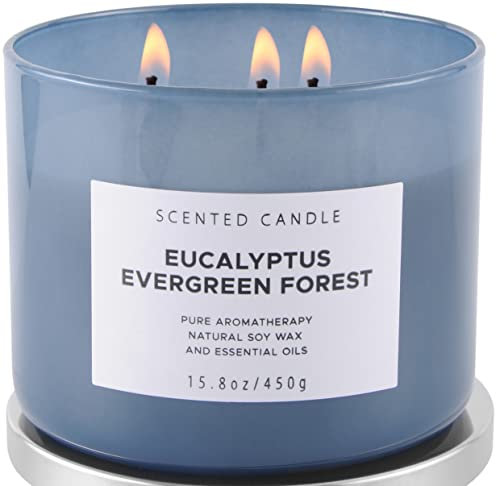 Immergrüne Eukalyptus-Soja-Kerze mit 3 Dochten, 450 ml, Winterkiefer, Balsamtanne und immergrüne Duftkerze, holzige Aromatherapie-Kerze für Zuhause, sauberes Brennen, langlebig