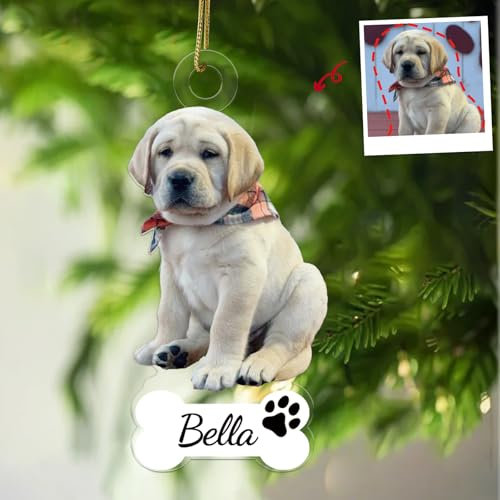 iDIY Personalisierte Weihnachtskugeln - Personalisierter Weihnachtsschmuck - Weihnachtskugeln Foto selbst gestalten - Christbaumkugel mit eigenem Foto - Hund