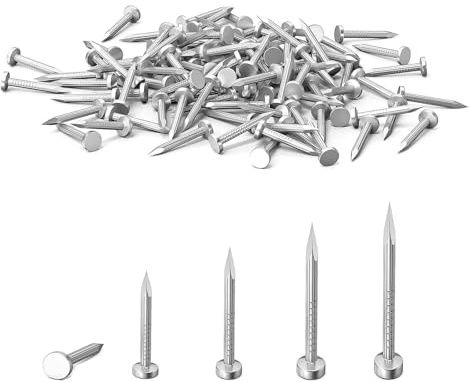 210 Pcs Panel Pins 20mm, Nails for Wood, Small Nails