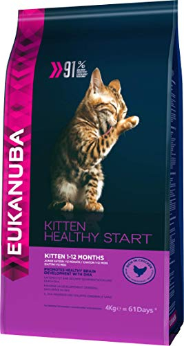 Eukanuba Junior Katzenfutter trocken - Premium Trockenfutter für Kitten von 1-12 Monate, fördert gesundes Wachstum, hoher Fleischanteil, 4 kg