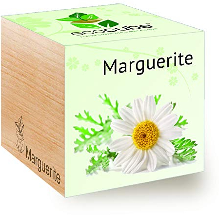Feel Green Ecocube Pflanzen-Selbstzucht-Set in Holzwürfeln, 7,5 cm, Produkt aus Österreich