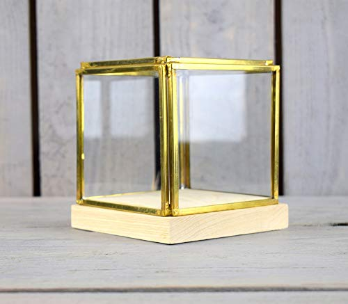 EMH Petite vitrine en Verre et Laiton avec Base en Bois