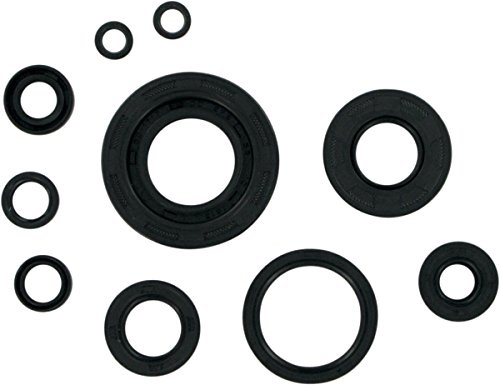 Winderosa 822304 Motor Oil Seal Kit