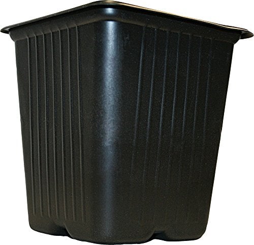 Vilmorin 3990612 Lot de 5 Bols carrés en Plastique 11 cm