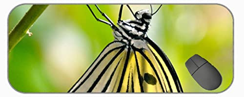 YENDOSTEEN Extended Gaming Mouse Mat/Pad - Large,Butterfly Wings Pattern Non-Slip Base Long XXL Large Gaming Mouse Pad