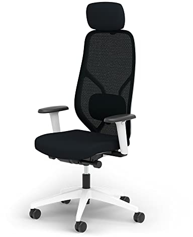 Ergotopia MasterBack Style ergonomischer Bürostuhl – Schreibtischstuhl ergonomisch mit 3D-Neigungsmechanik, 3D-Armlehnen & atmungsaktivem Mesh-Rücken – Perfekt als Drehstuhl für Büro & Home Office