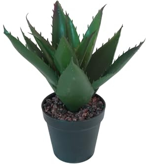 DESIGN decoration Künstliche Aloe Vera im Topf mit Steindeko Höhe 27 cm Pflanze dunkelgrün