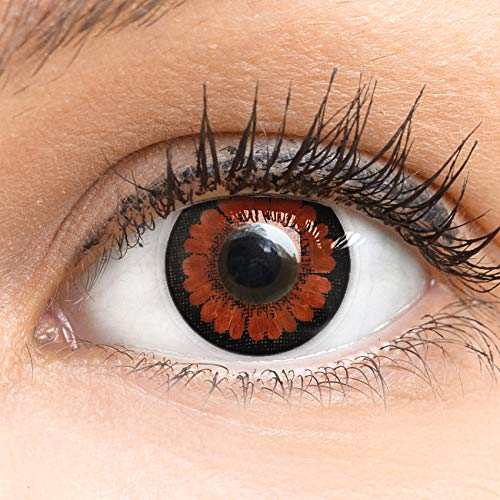 Dunkelbraune Farbige Kontaktlinsen Pretty Hazel Dunkelbraun Sehr Stark Deckende SILIKON COMFORT NEUHEIT von GLAMLENS + Behälter - 1 Paar (2 Stück) - DIA 14.00 mm Mit Stärke -4.00 Dioptrien