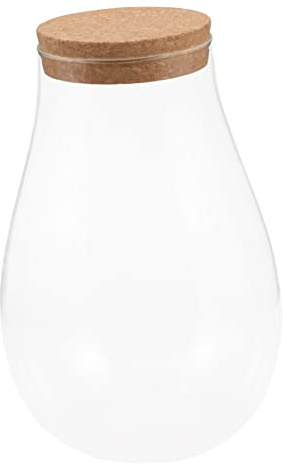 UPKOCH Contenitore Ecologico in Vetro 20x14 Cm Per Terrario e Stazione Di Propagazione, Vaso Per Piante Idroponiche e Briofite Tappi in Sughero, Decorazione Verde Per Ambienti Interni