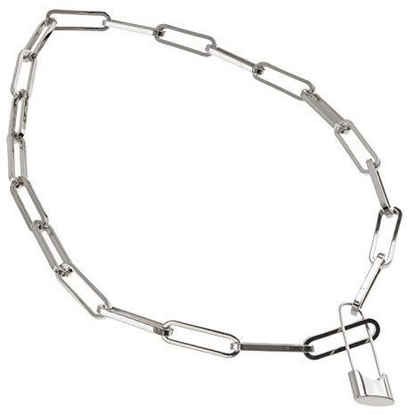 Holibanna Woman Paperclip Necklace Lock Pendant Choker Necklaces Adjustable Vintage Chain Necklace Stainless Steel Clavicle for Women Party Birthday (Silver)