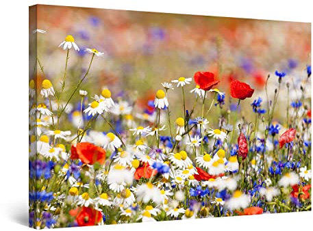 Startonight Impression Sur Toile Lumineux Photo Fleurs Champ Coloré, Tableau Fleurs - Decoration Murale Salon Moderne - Image sur Toile - Grande 80 x 120 cm Idée Cadeau Élégante et Originale
