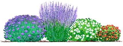 Dehner Blütenhecke Nature 4er,Bartblume, Blauraute, 2 x Fingerstrauch, für 3-4 Meter Hecke, je 40-60 cm, weiß rot lila, Heckenpflanzen
