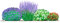 Dehner Blütenhecke Nature 4er,Bartblume, Blauraute, 2 x Fingerstrauch, für 3-4 Meter Hecke, je 40-60 cm, weiß rot lila, Heckenpflanzen