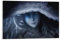 DMYTDYQK Elden Ring-Poster, Videospiel-Poster, Ranni-Poster, 1 Leinwand-Poster, Schlafzimmer-Dekor, Landschaft, Büro, Raumdekoration, Geschenk, 20 x 30 cm